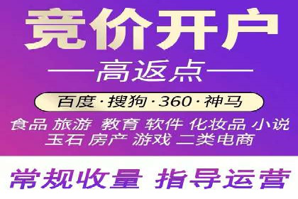 如何在sem竞价托管中取得卓越效果——案例解读